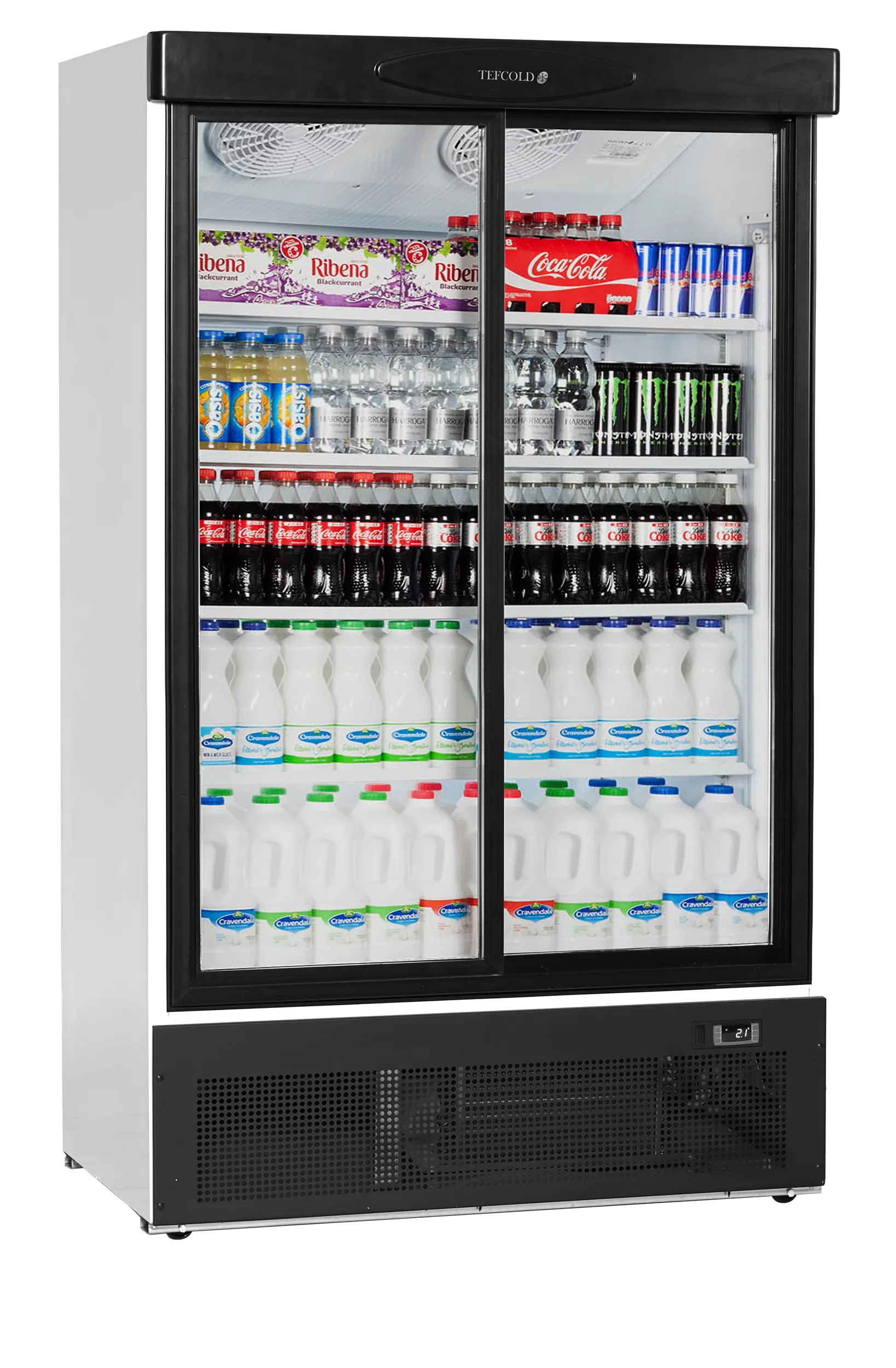 Lednice Tefcold FS 1202 S, prosklené dveře