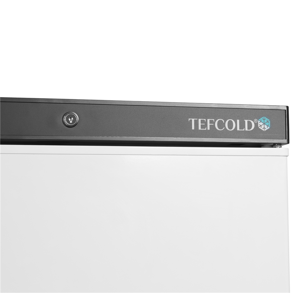 Mrazák Tefcold UF 400 Bílý